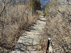 -北京十三陵国家森林公园蟒山景区