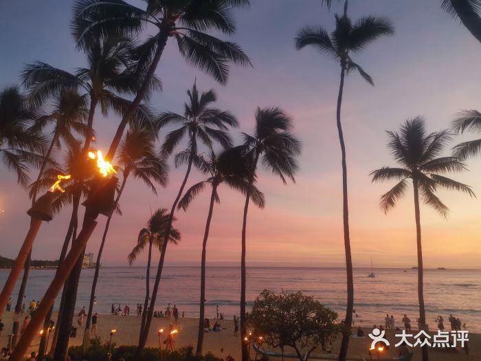 Hula Grill Waikiki图片