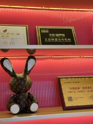 -北京新星靓医美