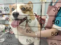 -中农大我爱我爱动物医院·核磁CT·猫病·24小时夜诊中心(石佛营店)