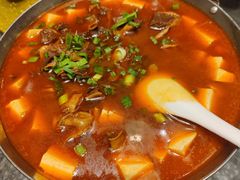 牛腩牛板肚煲-金锅小厨(乐活街店)