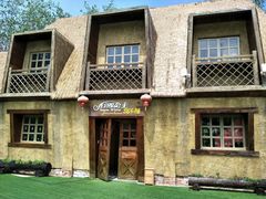 -合肥滨湖国家森林公园