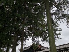 -总统兵马大元帅府