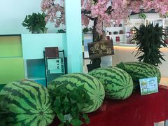 -西瓜小镇