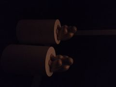 柏悦酒店-上海柏悦酒店