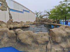 -秦皇岛乐岛海洋王国