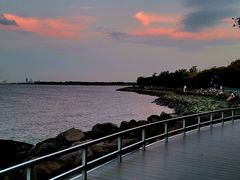 -上海吴淞炮台湾国家湿地公园