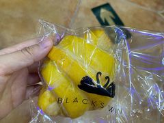 -BLACKSWAN黑天鹅(环球店)