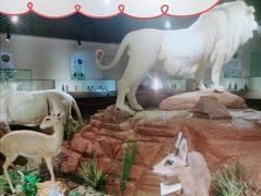 -陕西自然博物馆