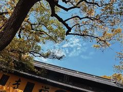-普陀山风景名胜区-法雨禅寺