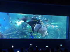 -重庆欢乐海底世界