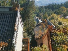 景点-潭柘寺景区