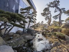 -罗红摄影艺术馆