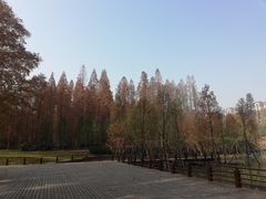-河南省黄河迎宾馆