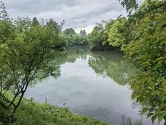 -西溪国家湿地公园