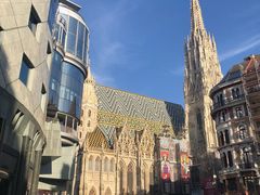 -斯蒂芬主教座堂(Stephansdom)