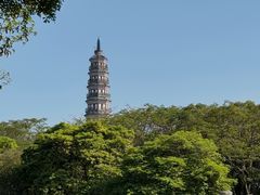 -顺峰山公园