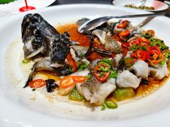 -曼格纳·曼芯馆(杨浦店)
