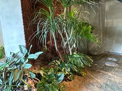 -J Create城市露营咖啡·简餐·宠物(上海动物园店)