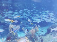 -新加坡水上探险乐园