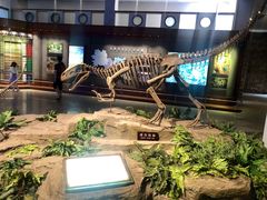 -自贡恐龙博物馆