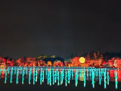 -印象西湖·最忆是杭州实景演出