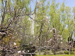 -森林公园(尖草坪区)