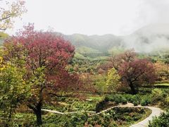 -塔川景区