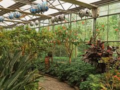 -南宫五洲植物乐园