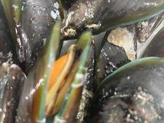-源海渔村·现捞海鲜(大角湾店)