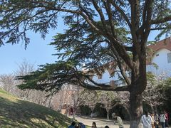 -苏州大学(天赐庄校区)