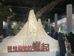 -国家自然博物馆