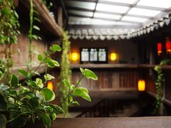 -普洱茶府(博乐广场店)
