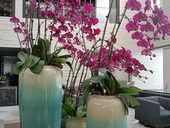 -天津海河悦榕庄·Lobby Lounge大堂吧