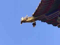 -西安市广仁寺