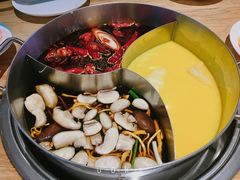 青瓷麻辣锅-青瓷火锅料理(西单大悦城店)