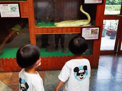 -上海大自然野生昆虫馆(东方明珠·爬宠昆虫探索中心)