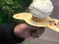 -野人先生现做冰淇淋(西安赛格店)