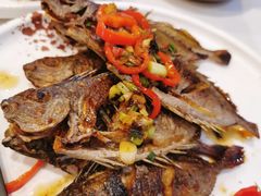 -五谷芳乳鸽王（大梅沙总店C区）(网红打卡店)