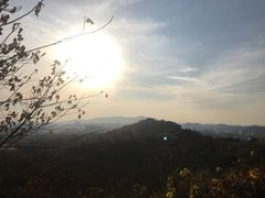 -羊山湖公园