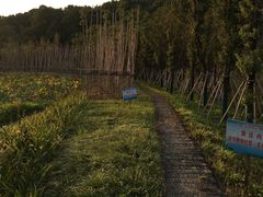 -九江市周敦颐纪念馆