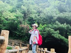 -王顺山国家森林公园