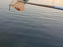 -比斯特上海购物村精品奥特莱斯