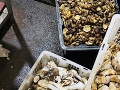 -杨记山珍鸡煲菌汤锅