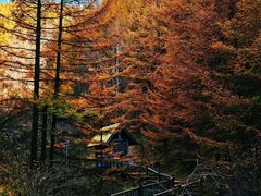 -苏木山森林公园