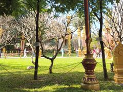 -西双版纳总佛寺