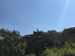 -老张烤羊(王哥庄店)