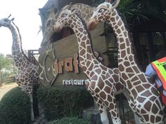 门面-清迈夜间动物园