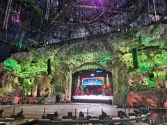 -广州长隆国际大马戏