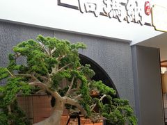 -高玛纳驴肉火烧(河间总店)